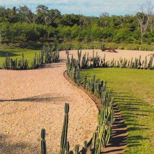 Revista Parque Campana